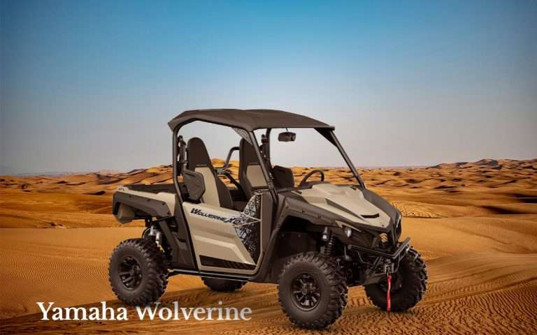 Everything About Yamaha Wolverine (Problems, Specs & Recalls)